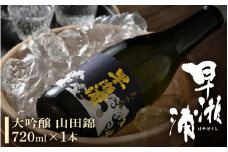 早瀬浦 大吟醸 山田錦 720ml × 1本 【入手困難 日本酒 就職祝い 転職祝い ハレの日 ギフト プレゼント お祝い お返し お礼 お中元 お歳暮 父の日 敬老の日】[m06-a012]