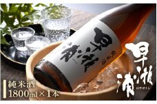 早瀬浦 純米酒 1800ml × 1本 【入手困難 日本酒 就職祝い 転職祝い ハレの日 ギフト プレゼント お祝い お返し お礼 お中元 お歳暮 父の日 敬老の日】[m06-a001]