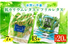 【福井県美浜町産】低カリウムレタス&フリルレタス　計20個セット【野菜 生野菜 レタス サラダ サンドイッチ お弁当 水耕栽培 洗わず食べられる 時短 付け合わせ ダイエット ヘルシー】[m40-a006]