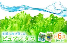レタス6袋【農薬不使用】新鮮シャッキシャキレタス 低カリウムレタス&フリルレタス6個セット【野菜 生野菜 レタス サラダ サンドイッチ お弁当 水耕栽培 洗わず食べられる 時短 付け合わせ ダイエット ヘルシー】お買い物マラソン 買い回り [m40-a004]