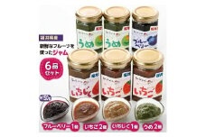 【福井県産】フルーツを使った ジャム 4種 合計6個 （ブルーベリージャム1個 いちじくジャム1個 イチゴジャム2個 梅ジャム2個 ）[m03-a044]