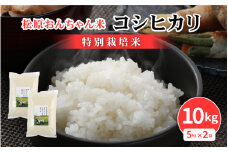 松原おんちゃん米 特別栽培米 コシヒカリ（白米）計10kg（5kg × 2袋）[m26-a001]