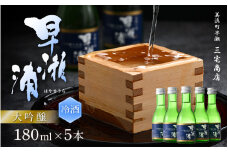 【早瀬浦】大吟醸冷用酒180ml × 5本 セット【入手困難 山田錦 大吟醸 冷酒 日本酒 地酒 福井 美浜 早瀬 フルーティ 男酒 硬水 ミネラル 希少 ご褒美 家飲み 就職祝い 転職祝い ハレの日】 [m16-a024]