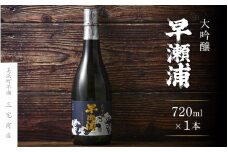 【早瀬浦】大吟醸 720ml × 1本【入手困難 日本酒 地酒 福井 美浜 早瀬 フルーティ 男酒 硬水 ミネラル 希少 ご褒美 家飲み 就職祝い 転職祝い ハレの日】 [m16-a023]