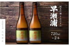 【早瀬浦】純米吟醸 さかほまれ 720ml × 2本 セット【日本酒 地酒 福井 美浜 早瀬 フルーティ 男酒 硬水 ミネラル 希少 ご褒美 家飲み】[m16-a008]