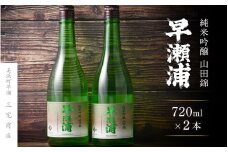 【早瀬浦】純米吟醸 山田錦 720ml × 2本 セット【入手困難 日本酒 地酒 福井 美浜 早瀬 フルーティ 男酒 硬水 ミネラル 希少 ご褒美 家飲み 】[m16-a005]