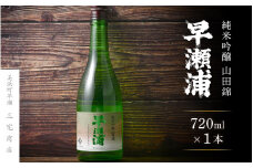 【早瀬浦】純米吟醸 山田錦 720ml × 1本【入手困難 日本酒 地酒 福井 美浜 早瀬 フルーティ 男酒 硬水 ミネラル 希少 ご褒美 家飲み】[m16-a004]