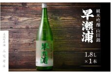 【早瀬浦】純米吟醸 山田錦 1800ml × 1本【入手困難 日本酒 地酒 福井 美浜 早瀬 フルーティ 男酒 硬水 ミネラル 希少 ご褒美 家飲み 】[m16-a014]