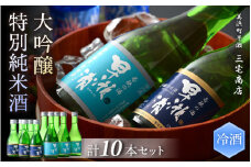 【早瀬浦】大吟醸冷用酒 180ml × 5本 ＆ 特別純米冷用酒 300ml × 5本 セット【飲み比べ 日本酒 地酒 福井 美浜 早瀬 フルーティ 男酒 硬水 ミネラル 希少 ご褒美 家飲み 就職祝い 転職祝い ハレの日】[m16-b018]