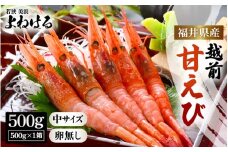 天然！越前甘エビ(卵なし) 中サイズ 500g × 1(約35尾入り)  解凍方法説明書付き 船内凍結 酸化防止剤不使用！甘エビ本来の味をお楽しみください えび エビ 海老 甘エビ 甘えび 人気 海鮮 お刺身 魚介 おせち 無添加 冷凍 福井県産[m17-a057]