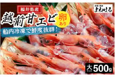 天然！越前甘えび(卵あり) 大サイズ 約500g × 1箱(約30尾入り)  解凍方法説明書付き 船内凍結 酸化防止剤不使用！甘エビ本来の味をお楽しみください えび エビ 海老 甘エビ 甘えび 人気 子持ち 海鮮 お刺身 おせち 無添加 冷凍 福井県産 [m17-a058]
