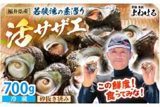 若狭湾の素潜り 天然 活サザエ 合計約700g (6～10個) 説明書付き【サザエ さざえ 貝 天然 海産物 刺身 お造り 海の幸 BBQ つぼ焼き 壺焼き 佃煮】[m17-a047]