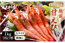 大好評！天然 越前甘えび（卵なし）大サイズ 計約1kg（約500g × 2箱）（合計約60尾入り） 解凍方法説明書付き 船内凍結 酸化防止剤不使用！ 甘エビ本来の味をお楽しみください 【えび エビ 海老 甘エビ 甘えび 海鮮 お刺身 魚介 おせち 無添加 冷凍 福井県産】[m17-c013]