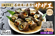 大人気☆ 若狭湾の素潜り 天然 サザエ 約8～12個 約700g (350g × 2P)  活サザエをそのままボイルしました！【サザエ さざえ 貝 海産物 刺身 お造り 海の幸 BBQ つぼ焼き 壺焼き 佃煮 砂抜き済 冷凍】[m17-a050]