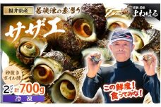 大人気☆ 若狭湾の素潜り 天然 サザエ 約8～12個 約700g (350g × 2P)  活サザエをそのままボイルしました！【サザエ さざえ 貝 海産物 刺身 お造り 海の幸 BBQ つぼ焼き 壺焼き 佃煮 砂抜き済 冷凍】[m17-a050]