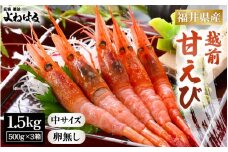 大好評！天然 越前甘エビ（卵なし）中サイズ 計約1.5kg（約500g × 3箱）（合計約105尾入り） 解凍方法説明書付き 船内凍結 酸化防止剤不使用！ 甘エビ本来の味をお楽しみください 【えび エビ 海老 甘エビ 甘えび 海鮮 お刺身 魚介 おせち 無添加 冷凍 福井県産】[m17-c015]