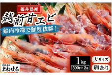 大好評！天然 越前甘エビ（卵あり）大サイズ 計約1kg（約500g × 2箱）（合計約60尾入り） 解凍方法説明書付き 船内凍結 酸化防止剤不使用！ 甘エビ本来の味をお楽しみください 【えび エビ 海老 甘エビ 甘えび 子持ち 海鮮 お刺身 おせち 無添加 福井県産 国産】[m17-c014]