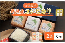 米 越地（こいち）産 特別栽培米 コシヒカリ 令和6年産 真空包装 2合 × 6個【キャンプ 保存 備蓄 防災】[m24-a004]