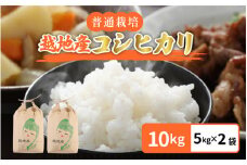 【先行予約】【令和7年産 新米】 越地（こいち）産 コシヒカリ (白米) 計10kg（5kg × 2袋）【2025年9月中旬以降順次発送予定】[m24-b005]