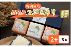 米 越地（こいち）産 特別栽培米 コシヒカリ 令和6年産 真空包装 2合 × 3個【キャンプ 保存 備蓄 防災 バーベキュー BBQ 持ち運び簡単】[m24-a003]