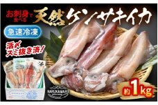 イカ お刺身で食べる 天然 ケンサキイカ 約1kg 活きたイカをご提供している漁師が活〆！ 入手困難 急速冷凍 鮮度格別！若狭湾 福井 地物 海鮮 個別包装 真空パック 刺身 イカ丼 いか丼 焼きイカ 焼きいか 姿焼き 煮付け フライ 炒め物 [m36-b004]