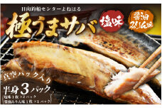 干物 鯖一夜干し 極うまサバ 半身3パック （塩味1枚×2パック 醤油みりん味1枚×1パック）【福井 天然 さば 日用 使い ひもの 冷凍 小分け 個包装 真空パック ご飯のお供 酒の肴 食べ比べ セット】[m17-a055]