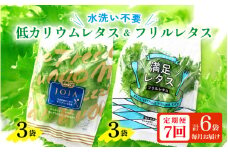 定期便 ≪7ヶ月連続お届け≫ 低カリウムレタス&フリルレタス　計6個セット 全7回 【福井県美浜町産】【野菜 生野菜 レタス サラダ サンドイッチ お弁当 水耕栽培 洗わず食べられる 時短 付け合わせ ダイエット ヘルシー】[m40-c002]