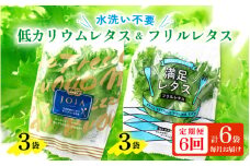 定期便 ≪6ヶ月連続お届け≫ 低カリウムレタス&フリルレタス　計6個セット 全6回 【福井県美浜町産】【野菜 生野菜 レタス サラダ サンドイッチ お弁当 水耕栽培 洗わず食べられる 時短 付け合わせ ダイエット ヘルシー】[m40-c001]