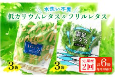 定期便 ≪2ヶ月連続お届け≫ 低カリウムレタス&フリルレタス　計6個セット 全2回 【福井県美浜町産】【野菜 生野菜 レタス サラダ サンドイッチ お弁当 水耕栽培 洗わず食べられる 時短 付け合わせ ダイエット ヘルシー】[m40-a007]