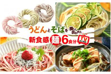 福井県 美浜町産 「DUOヌードル」 6個セット【母の日 父の日 プレゼント お祝い 引き出物 お返し ギフト ハレの日 子供の日 お礼 敬老の日 引越し 七夕 年越し お中元 お歳暮】[m04-a006]