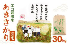 【先行予約】【令和7年産・新米】 松原おんちゃん米 あきさかり（玄米）エコ栽培米 30kg（30kg×1袋）【2025年10月中旬以降順次発送予定】【福井県産 お米 ブランド米 玄米 精米 ご飯 おにぎり お弁当 和食】 [m26-d003]