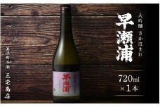 【早瀬浦】大吟醸 さかほまれ 720ml × 1本【入手困難 日本酒 地酒 福井 美浜 早瀬 フルーティ 男酒 硬水 ミネラル 希少 ご褒美 家飲み】[m16-a007]
