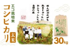 【先行予約】【令和7年産・新米】コシヒカリ（玄米）エコ栽培米 30kg（30kg×1袋）【2025年9月中旬以降順次発送予定】【福井県産 お米 ブランド米 玄米 精米 ご飯 おにぎり お弁当 和食】 [m26-d002]