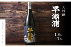 【早瀬浦】大吟醸 1800ml × 1本【入手困難 日本酒 地酒 福井 美浜 早瀬 フルーティ 男酒 硬水 ミネラル 希少 ご褒美 家飲み 就職祝い 転職祝い ハレの日】[m16-c002]