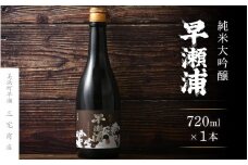 【早瀬浦】純米大吟醸 720ml × 1本【入手困難 日本酒 地酒 福井 美浜 早瀬 フルーティ 男酒 硬水 ミネラル 希少 ご褒美 家飲み 就職祝い 転職祝い ハレの日】 [m16-b015]