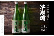 【早瀬浦】純米吟醸 1800ml × 2本 セット【入手困難 日本酒 地酒 福井 美浜 早瀬 フルーティ 男酒 硬水 ミネラル 希少 ご褒美 家飲み】[m16-c006]