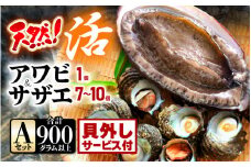 【期間限定】天然！活アワビ ＆ 活サザエ セットA(貝はずしサービス付き)【入手困難 産地直送 刺身 お造り おせち バター焼き BBQ あわび 鮑 サザエ さざえ 貝 砂抜き済 海鮮 魚介 酒の肴 つまみ 贅沢 ご褒美 冷凍 福井】[m21-b007_02]