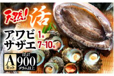【期間限定】天然！活アワビ ＆ 活サザエ セットA【入手困難 産地直送 刺身 お造り おせち バター焼き BBQ あわび 鮑 サザエ さざえ 貝 砂抜き済 海鮮 魚介 酒の肴 つまみ 贅沢 ご褒美 冷凍 福井】[m21-b007_01]