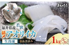 【先行予約】大好評！墨抜き済 活〆 若狭湾 天然 アオリイカの生冷凍 約1kg 【2025年11月中旬以降順次発送予定】福井 地物 海鮮 個別包装 真空パック 刺身 天ぷら マリネ 煮付け 塩焼き ホイル焼き 炒め物 イカ丼 焼きイカ 姿焼き イカフライ[m17-b012]