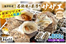 素潜り 天然 サザエ ボイル済み 約14～18個 約800g (400g×2P)  若狭湾産 新鮮な素潜り活サザエをボイル＆冷凍 柔らかくて美味しい小振りサイズのみ厳選！ 地元で大人気！ つぼ焼き BBQ バーベキュー 佃煮【配送不可地域:離島】[m17-a051]