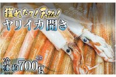 獲れたて！天然！ヤリイカ 開き 約700g イカ いか ケンサキイカ 剣先イカ 海鮮 刺身 下処理済み 冷凍 一夜干し [m21-a008]