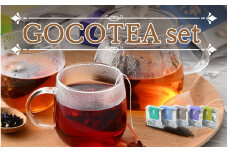GOCOTEA set [m05-a005]