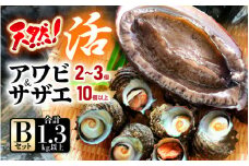 【期間限定】天然！活アワビ ＆ 活サザエ セットB【入手困難 産地直送 刺身 お造り おせち バター焼き BBQ あわび 鮑 サザエ さざえ 貝 砂抜き済 海鮮 魚介 酒の肴 つまみ 贅沢 ご褒美 冷凍 福井】[m21-d002_01]