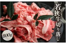牛肉 若狭牛 切り落とし 800g 国産 黒毛和種 黒毛和牛【ブランド 和牛 わかさ 福井 野菜炒め 肉じゃが すき焼き 冷凍 家飲み ご褒美 贅沢 父の日 母の日 敬老の日 お中元 お歳暮 ギフト 誕生日 贈り物 プレゼント BBQ キャンプ飯 お取り寄せ】[m15-a001]