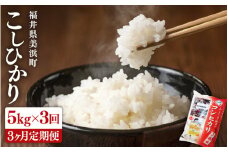 【先行予約】 定期便 ≪3ヶ月連続お届け≫ 米 令和7年産 新米 コシヒカリ 5kg × 3回 （計15kg）精米 福井県美浜町産 【2025年10月下旬以降順次発送】 [m60-d001]