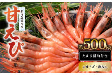 新鮮美味！ 甘エビ(船凍甘エビ 大サイズ)約500g おいしいたまり醤油付【えび エビ 海老 甘えび 海鮮 お造り 刺身 おせち 海鮮丼 生食 急速冷凍 福井】[m21-a036]