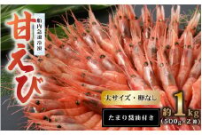 新鮮美味！ 甘エビ(船凍甘エビ 大サイズ)約1kg おいしいたまり醤油付【えび エビ 海老 甘えび 海鮮 お造り 刺身 おせち 海鮮丼 生食 急速冷凍 福井】[m21-b008]