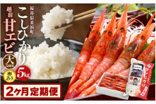 定期便≪2ヶ月連続お届け≫ 米 令和5年産 コシヒカリ5kg ＆ 越前甘エビ(卵あり)大サイズ 約500g × 1箱 (約30尾入り) 【精米】【福井県美浜町産米】【船内凍結】[m60-a009]