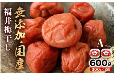 福井 梅干し Aセット（300g × 2個）[m20-a007]