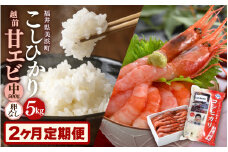定期便≪2ヶ月連続お届け≫ 米 令和5年産 コシヒカリ5kg ＆ 越前甘エビ(卵なし) 中サイズ 500g × 1箱 【精米】【福井県美浜町産米】【船内凍結】[m60-a007]